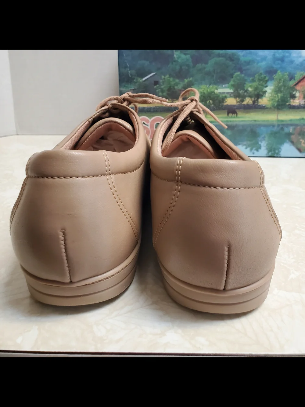 SAS Women’s Mocha Leather Walking Shoe